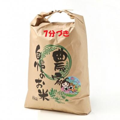 ふるさと納税 糸魚川市 新潟県産 糸魚川産 令和7年産 コシヒカリ 100% 精米 10kg 7分づき 新米