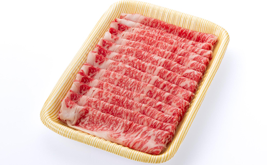 【食通の静岡牛】 ローススライス　500g×2P　すき焼き・しゃぶしゃぶ ブランド牛【配送不可地域：離島】