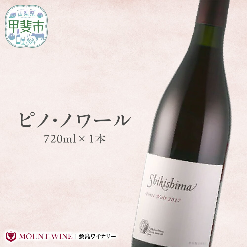 【ふるさと納税】ピノ・ノワール 720ml×1本 ワイン お酒 酒 アルコール 葡萄 ブドウ ギフト プレゼント 贅沢 山梨 甲斐市 F-32