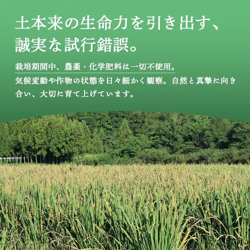 マコモダケ 500g | 栽培期間中農薬不使用