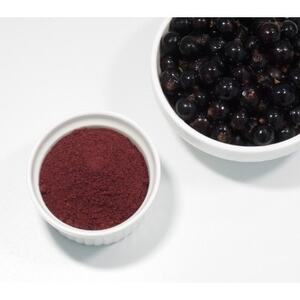 青森県産カシス使用　カシスパウダー　1袋(100g入り)【1654679】