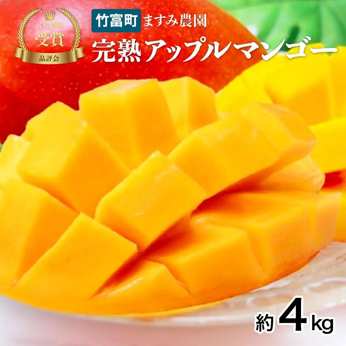 2026年 先行予約 アップルマンゴー 約4kg (8～12玉) 完熟 マンゴー ますみ農園 果物 フルーツ