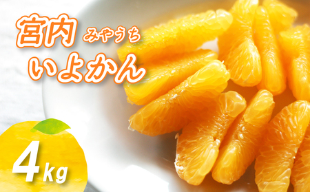 【2027年1月中旬頃から順次発送】 宮内いよかん 4kg | いよかん 伊予柑 みかん 数量限定 みかん 愛媛県産 みかん いよかん 伊予柑 松山市 みかん 中島 みかん いよかん 伊予柑 みかん 蜜柑 いよかん 伊予柑 イヨカン みかん いよかん 伊予柑 愛媛県 松山市【NO017】