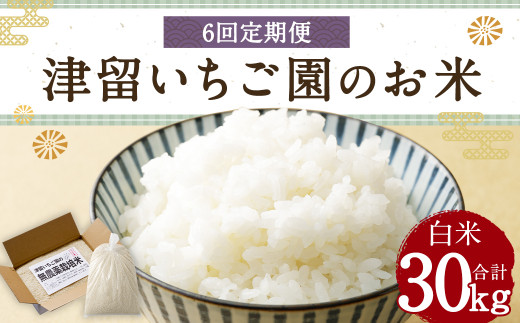 【6回定期便】津留いちご園のお米 白米 農薬・化学肥料不使用（栽培期間中） 約5kg×6回 合計約30kg【2024年11月上旬発送開始】 ご飯 定期便 福岡県産 国産