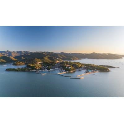 ふるさと納税 備前市 頭島産エクストラバージンオリーブオイル |  | 01