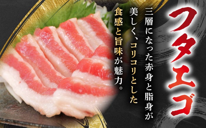 馬刺し3種(赤身・フタエゴ・サガリ)計600g 小袋醤油付き 馬刺し 熊本 国内肥育