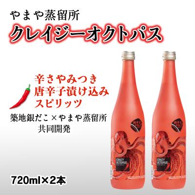 ふるさと納税 西都市 唐辛子味!?ピリ辛焼酎クレイジーオクトパス『CRAZY OCTOPUS』720ml×2本[2815]