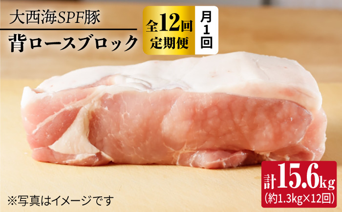 
                  【月1回約1.3kg×12回定期便】大西海SPF豚 背ロースブロック 計15.6kg 訳あり ＜大西海ファーム [CEK117]
                