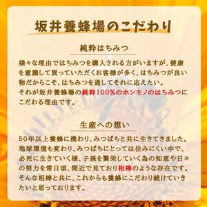 みつばちの雫　国産れんげ蜜　300g×2【1496814】