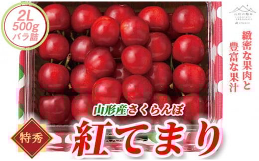 【山形の極み】贈答用 山形県産 さくらんぼ 紅てまり 500g 特秀 2L バラ詰め 2025年6月下旬から順次発送 F2Y-5188