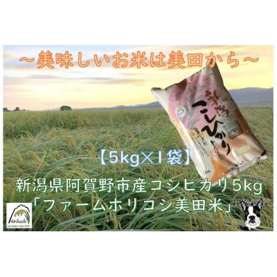 ふるさと納税 阿賀野市 【令和7年産】数量限定! 阿賀野市産 コシヒカリ 「ファームホリコシ美田米」 5kg 白米 精米 |  | 01
