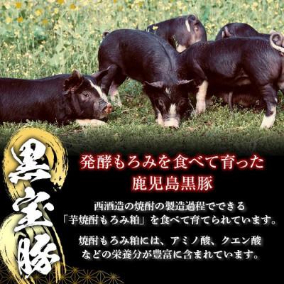 ふるさと納税 日置市 黒宝豚餃子16個入×3パック |  | 01