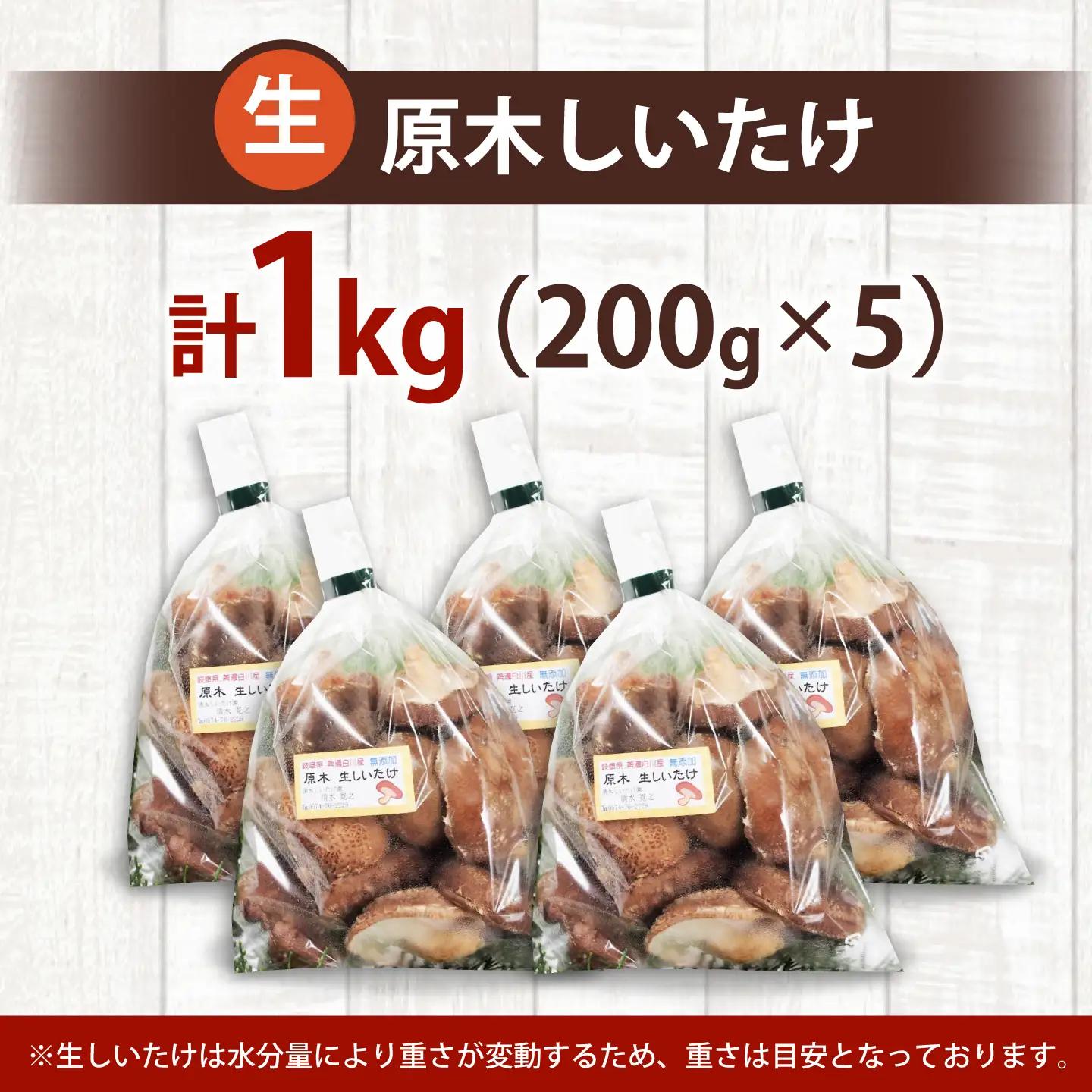 【訳あり】不揃い 原木しいたけ 1kg（200g×5袋）清水しいたけ園[AWAY003]訳あり椎茸
