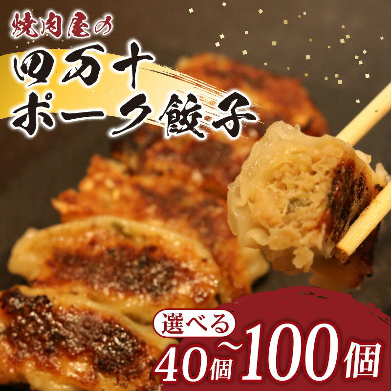 【ふるさと納税】焼肉屋の四万十ポーク餃子 40個~100個 ぎょうざ ギョウザ 惣菜 おかず 冷凍 小分け 豚 高知県 にら ニラ にんにく 国産 送料無料 yj067