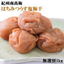 【ふるさと納税】紀州南高梅使用　はちみつうす塩味完熟梅干し 無選別1kg | 和歌山県 印南町 和歌山 返礼品 楽天ふるさと 納税 お取り寄せグルメ 取り寄せ グルメ 梅干し 梅干 うめぼし 梅 うめ ウメ はちみつ梅 はちみつ梅干し はちみつ うす塩 ご飯のお供 ごはんのおとも