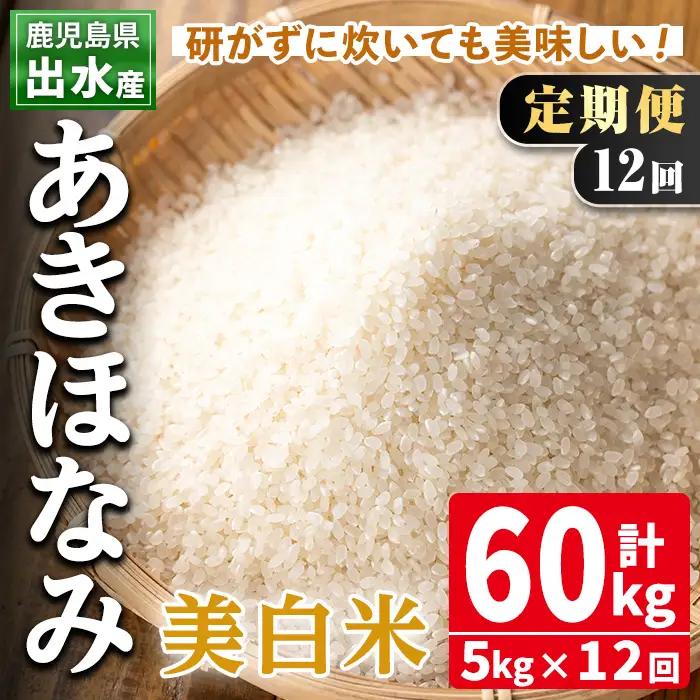 【12回定期便】美白米 白米 あきほなみ 5kg 精米【田上商店】i652