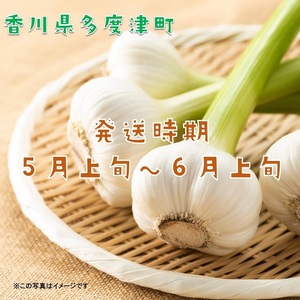 多度津町産　生にんにく（予約受付中！令和8年5月上旬頃から発送）【B-22】