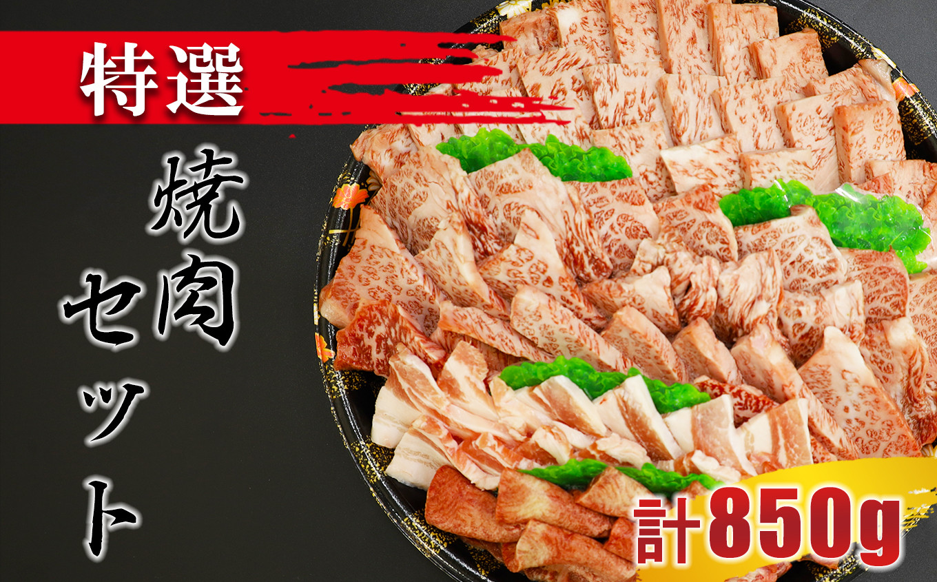 
特選焼肉セット(牛肉:ロース 300g、牛肉:カルビ:300g、牛タン:100g 豚肉:150g)
