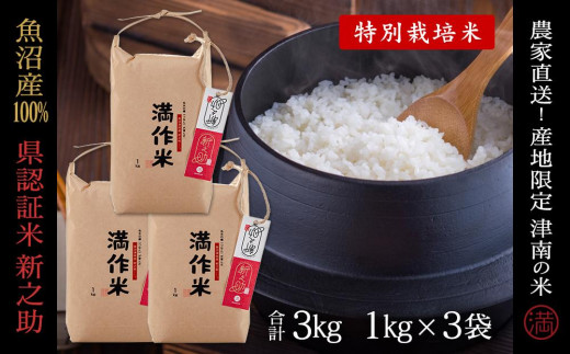 【令和8年産 先行予約】米 3kg ( 1kg × 3袋 )  魚沼産 新之助 県認証米 特別栽培米 農家直送 | しんのすけ ブランド米 お米 おこめ こめ 白米 精米 おすすめ 新潟県 津南町