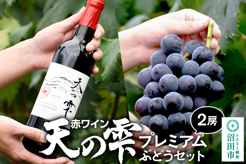
            《9月上旬～11月上旬発送》赤ワイン「天の雫」1本とプレミアムぶどう2房セット ゆたかぶどう園
          
