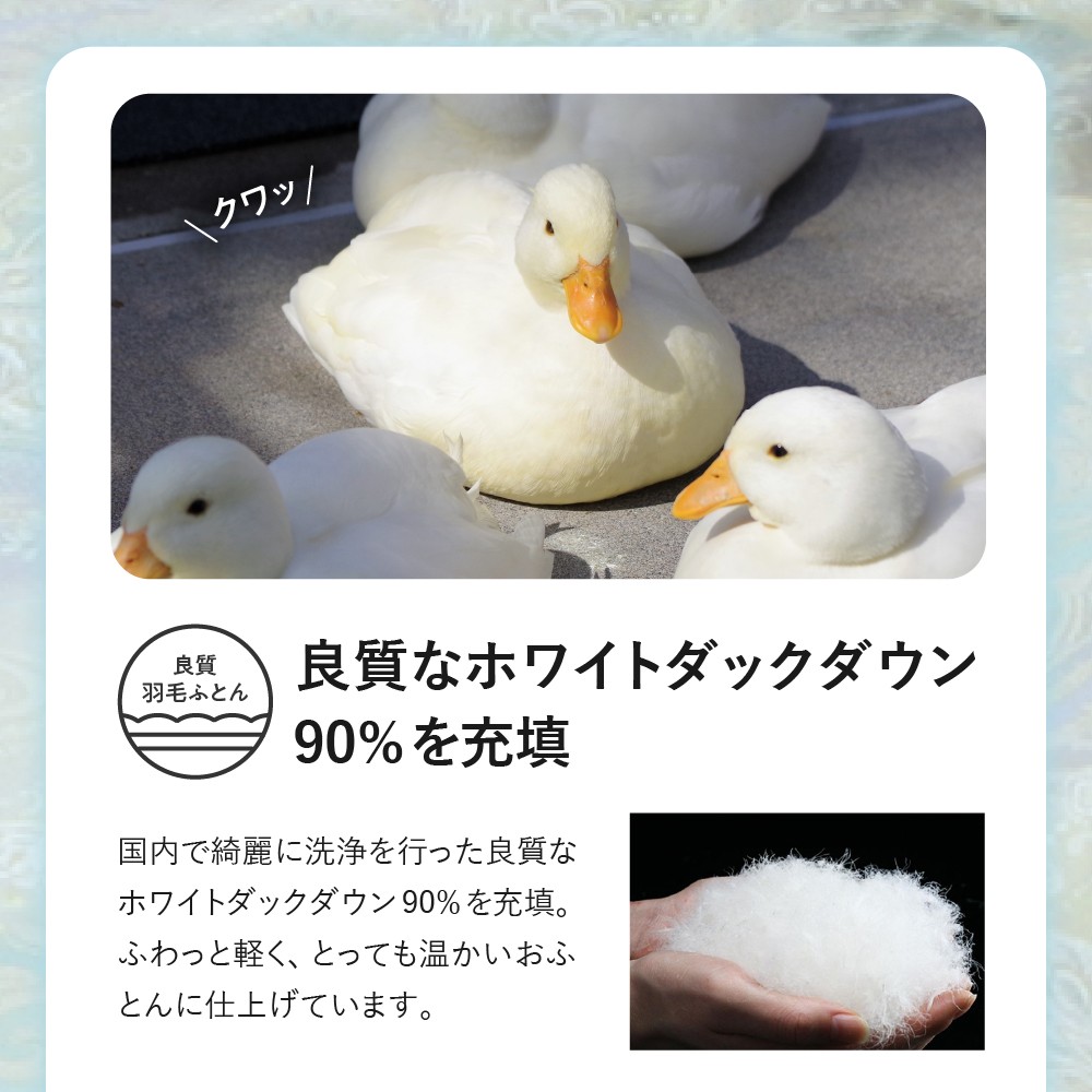 ※画像はイメージです