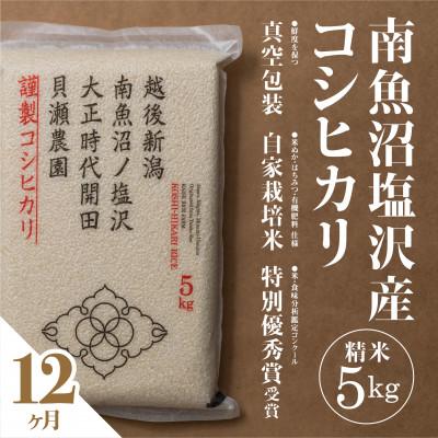 ふるさと納税 南魚沼市 【毎月定期便】南魚沼塩沢産コシヒカリ「貝瀬農園米」精米5kg全12回