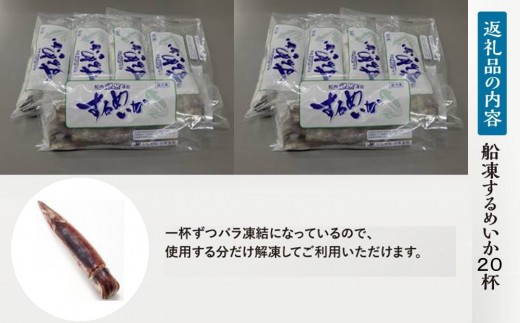 【復興支援】船凍するめいか 約4kg 20杯 ( 2杯 × 10袋 )小分け 個包装 刺し身 海産物 魚介類 獲れたて 急速冷凍 新鮮 刺身 さしみ 烏賊 人気 おすすめ ご当地グルメ カルパッチョ パスタ いかめし 煮物