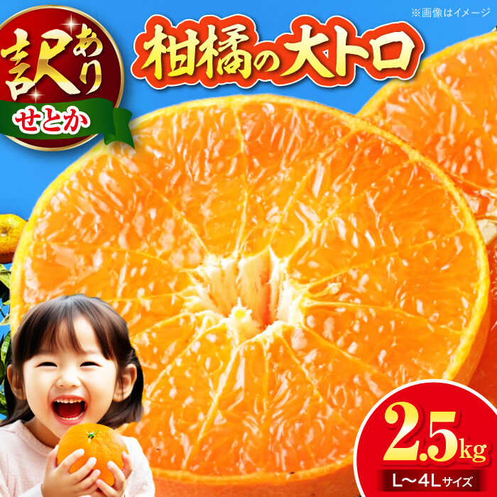 【ふるさと納税】【2月下旬より順次発送】 訳あり せとか 2.5kg ( L から 4L サイズ混合 ) | 人気 おすすめ ランキング おいしい 甘い みかん 柑橘 大洲市/有限会社西山青果[AGAR012] 10000 10000円 以上