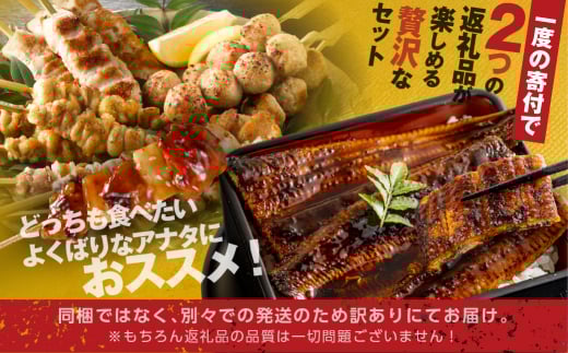 青うなぎ＆名古屋コーチン 渥美半島よくばりセット うなぎ 蒲焼き 鰻 ウナギ うなぎ蒲焼 惣菜 幻 簡単調理 おいしい 高評価 ふるさと納税 魚 さかな 魚介 ランキング 鶏 鶏肉 地鶏 焼き鳥 焼鳥 やきとり 串 食べ比べ セット 名古屋コーチン さんわの若鳥 鶏三和  ふるさとチョイス キャンペーン おすすめ 