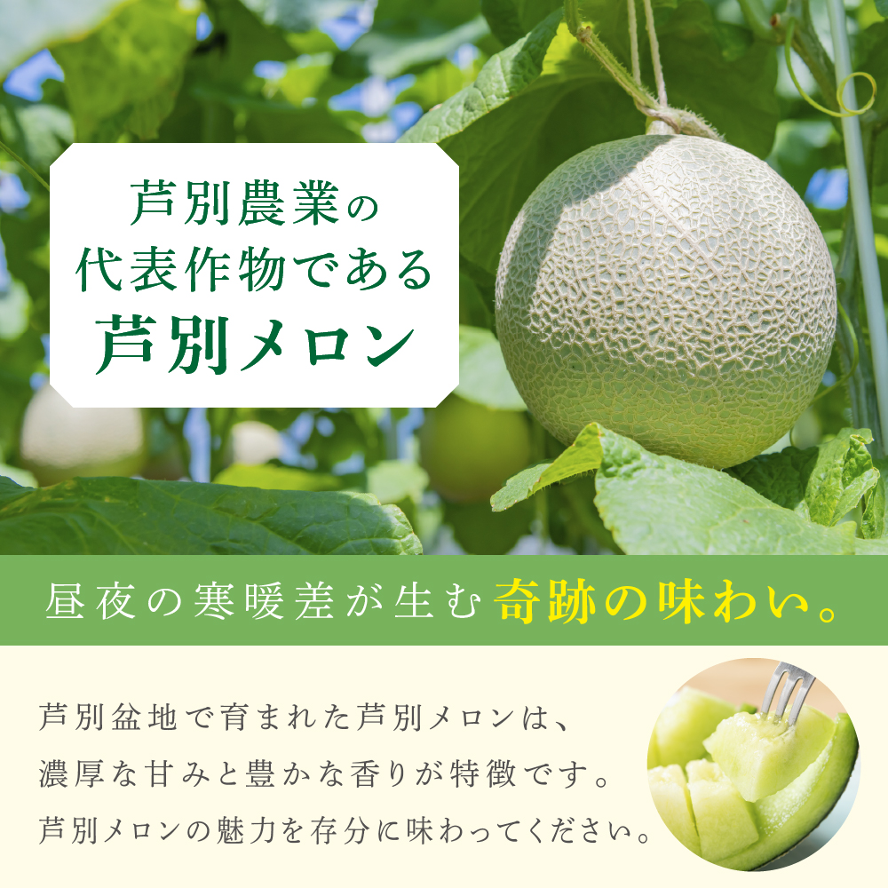 メロン 北海道 芦別メロン 青肉 1玉 1.5kg 高級 青肉メロン フ