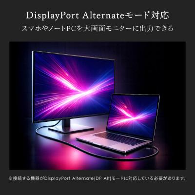 ふるさと納税 海老名市 最大20Gbps/PD240W充電 USB Type-C to USB Type-Cケーブル 2m |  | 02