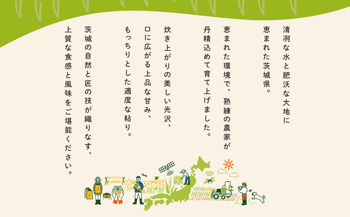 【2月発送】コシヒカリ 20kg (5kg x 4袋) 令和7年産 白米 精米 茨城県 下妻市 お米 米