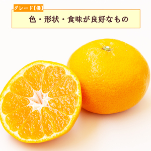 【予約受付】 優品 寿太郎 みかん 3kg フルーツ 果物 蜜柑 オレンジ ミカン mikan