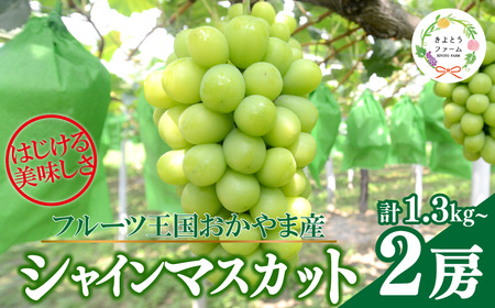 【きよとうファーム】シャインマスカット 特大２房入/計1.3kg~ (岡山県産)【KF-B014-02】