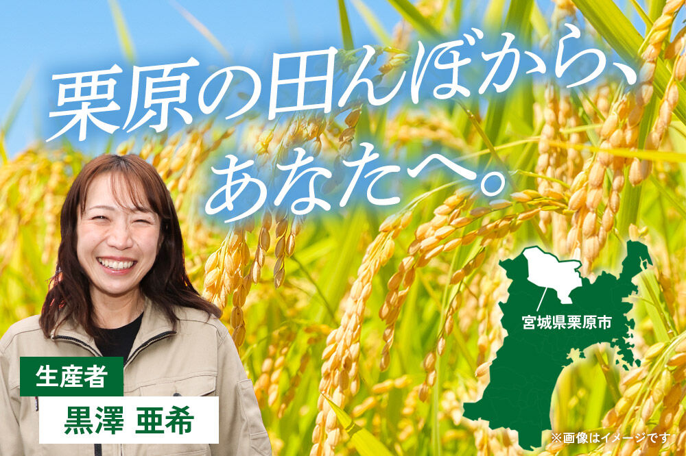 栗原育ちの黒澤農産のお米 令和7年産 白米 だて正夢 10kg （10kg×1袋） [だて正夢 伊達正夢 白米 米 ブランド米 生活品 食卓 おにぎり 宮城県 栗原市 黒澤農産]