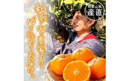 定期便【全4回/3・5・9・11月】和歌山旬のカンキツ定期便【M】（ご家庭用）※北海道・沖縄県・離島への配送不可 / 春の柑橘 初夏の柑橘 青切り 有田みかん 完熟有田みかん フルーツ くだもの 果物