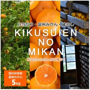 温州みかん 富田林市東條産5kg 【菊水園】 甘い美味しい みずみずしいと人気の柑橘です。【1669825】