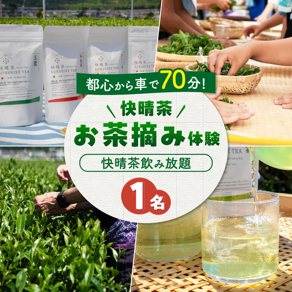 【ふるさと納税】【ランチなし】「快晴茶」お茶摘み体験チケット[BDAT007]