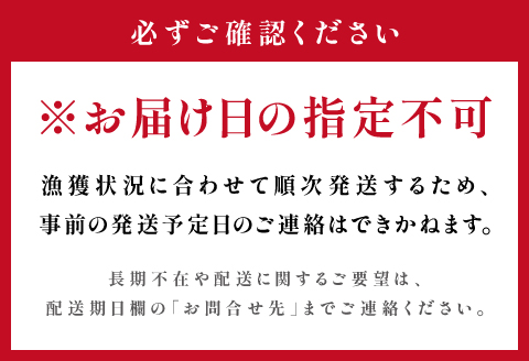 鳥取県産 タグ付き松葉ガニ 特大【松葉ガニ 松葉がに 松葉蟹 まつばがに かに カニ 特大 冷蔵 チルド ブランド ズワイガニ 蒸し ボイル タグ付き 国産 季節限定 お取り寄せ お祝い お歳暮 贈り