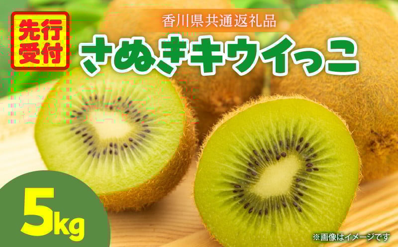 
            さぬきキウイっこ5.0kg【香川県共通返礼品】_mk025-003
          
