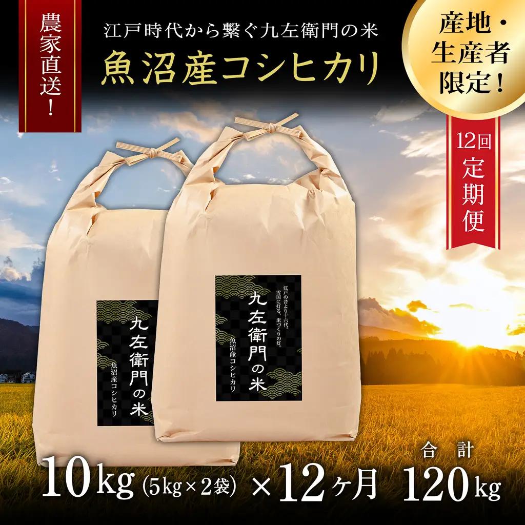 【令和8年産 先行予約】【12ヶ月定期便】魚沼産コシヒカリ 九左衛門の米 10kg（5kg×2袋） |津南町 魚沼産 コシヒカリ