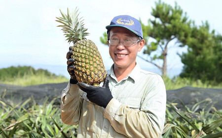 ゴールドバレル 約4～6玉 9kg パイナップル ふくしま農園の自信作！