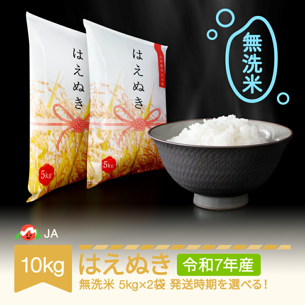 【ふるさと納税】 【先行予約】 新米 米 10kg 5kg×2 はえぬき 無洗米 令和7年産 山形県村山市産 送料無料※沖縄・離島への配送不可
