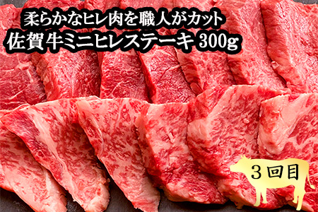 「定期便全3回」 佐賀牛 BBQや焼肉好きな方におすすめ 寄附翌月から発送 6種盛360g モモブロック800g ヒレ300g (合計1.46kg) A5～A4等級 ギフト 贈り物 アウトドア