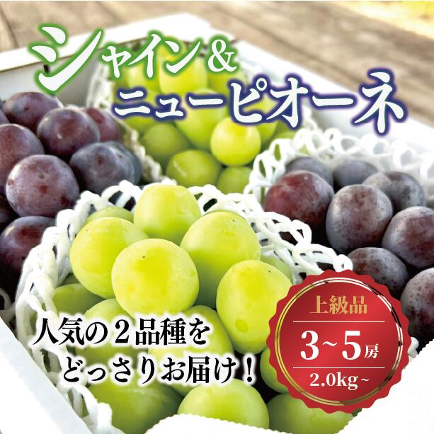 【ふるさと納税】【2026年先行予約】シャインマスカット＆ニューピオーネ 3-5房/計2.0kg~ (岡山県産) ぶどう セット 食べ比べ