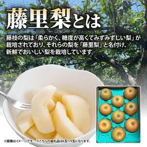 【 オンライン決済限定 】 梨 藤里梨 3kg ( 6玉 ~ 9玉 )  | 梨梨梨梨