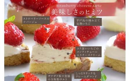 ケーキ タルト 8種 食べ比べ 1ホール分 18cm [心優-Cotoyu Sweets- 長崎県 平戸市 hr42bgy420019]
