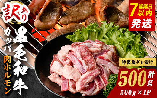 ＜ 訳あり＞ 国産 黒毛和牛 カッパ ( 肉ホルモン ) 特製塩だれ漬け 500g BBQ すぐ届く スピード発送｜ 牛肉 肉 国産 黒毛和牛 和牛 焼き肉 焼肉