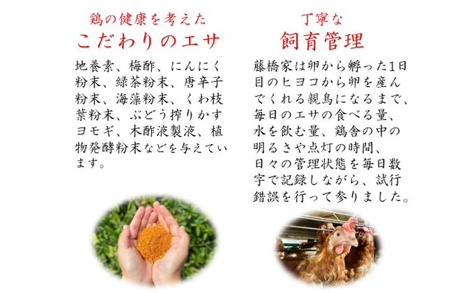 たまご 夢王 30個 たまごかけごはん祭り3連覇 殿堂入りのた