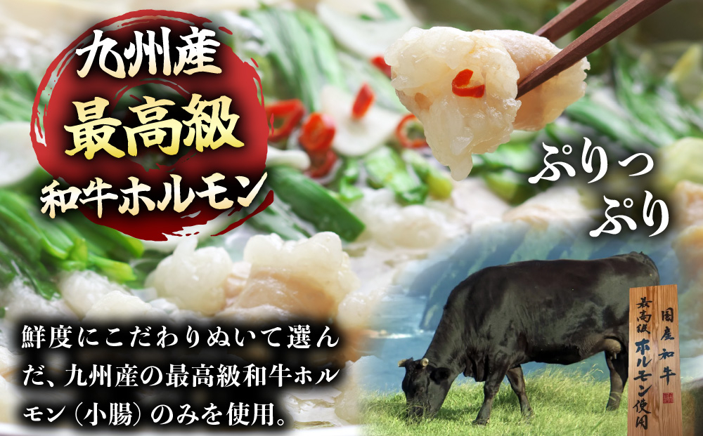 ＜定期便3回 毎月お届け＞博多もつ鍋前田屋 しょうゆ味2～3人前【LF011】